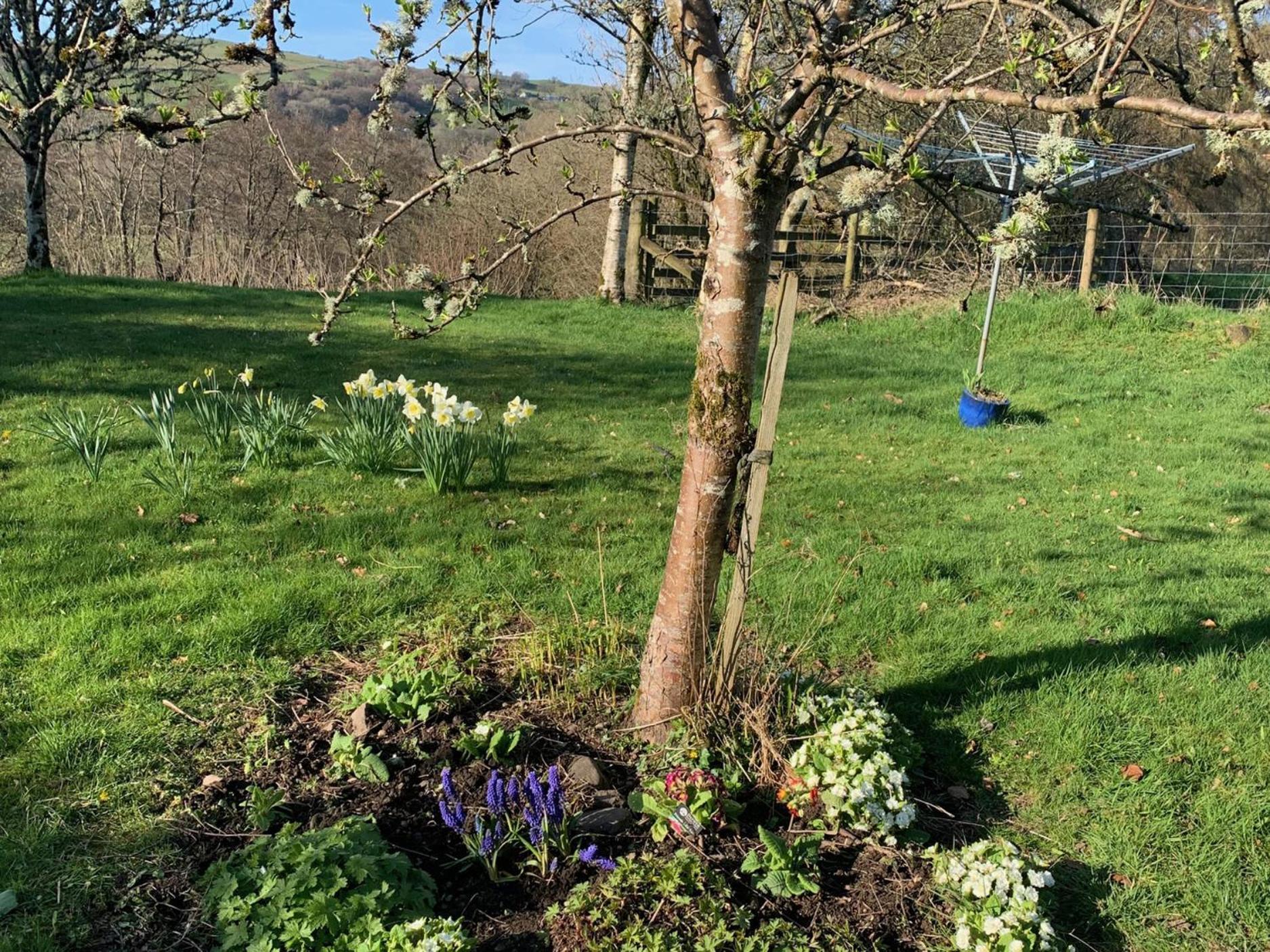Beudy Dolpebyll Villa Llangadfan Bagian luar foto